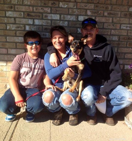 12 Heartwarming Smiles: Shelter Dogs Find Forever Homes