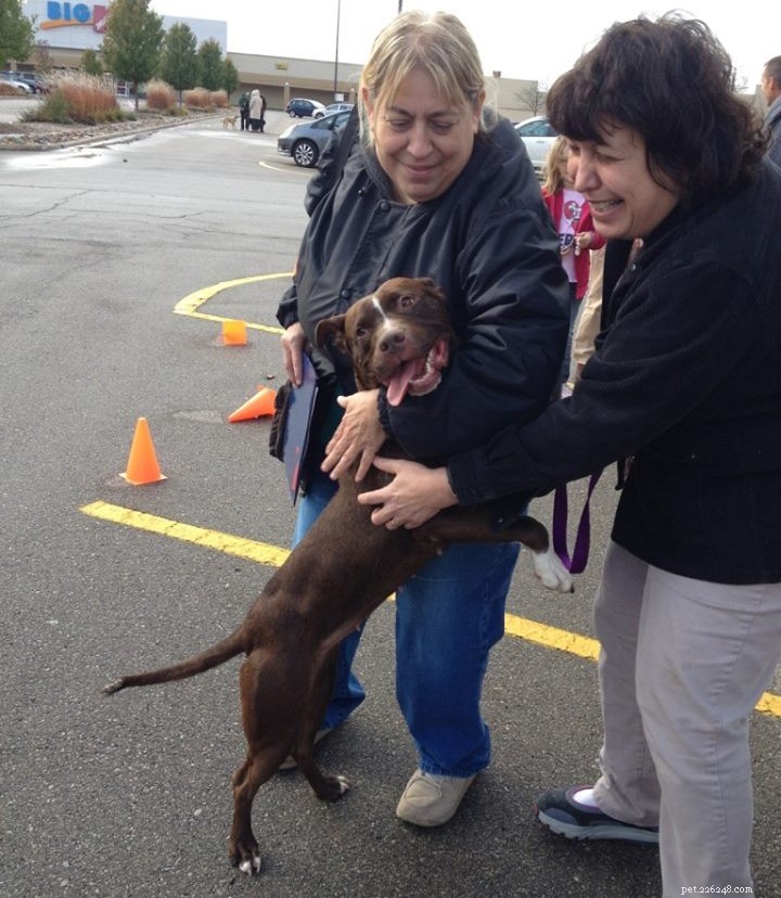 12 Heartwarming Smiles: Shelter Dogs Find Forever Homes