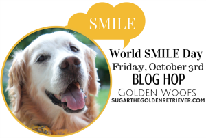 12 Heartwarming Smiles: Shelter Dogs Find Forever Homes