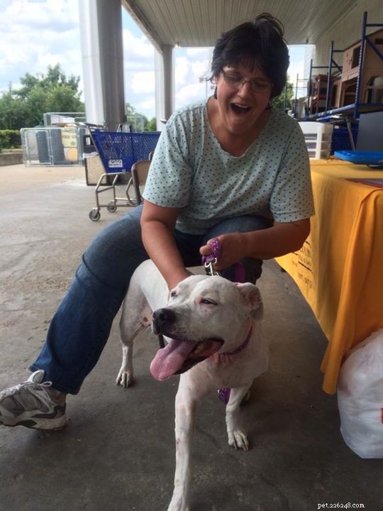 12 Heartwarming Smiles: Shelter Dogs Find Forever Homes