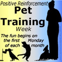 Mastering Dog Training: The Critical Role of Patience