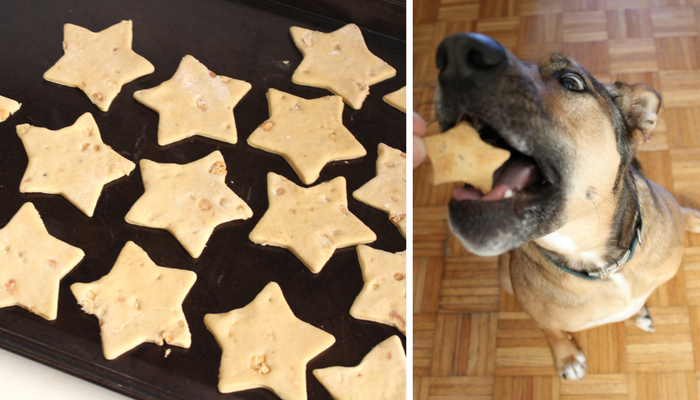 Simple Peanut Butter Dog Treats: Quick, Healthy, and Dog‑Approved