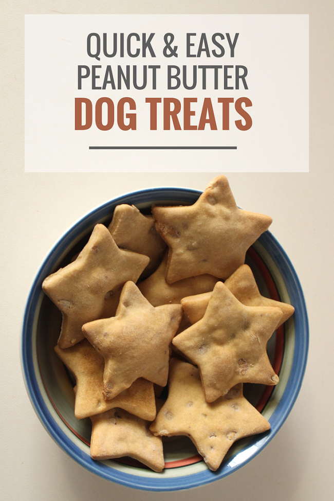 Simple Peanut Butter Dog Treats: Quick, Healthy, and Dog‑Approved