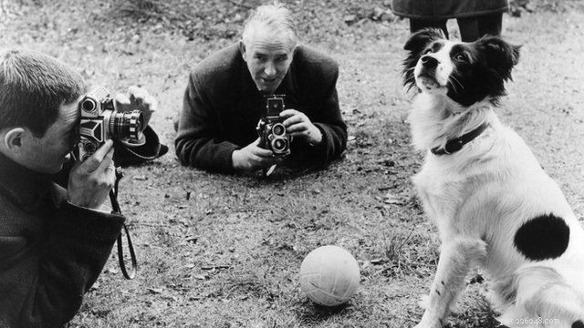 Pickles the Dog Who Saved the World Cup Trophy