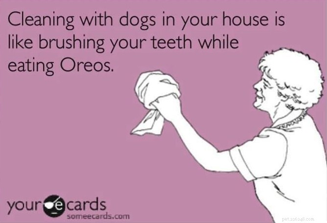 15 Essential Secrets Every New Dog Owner Should Know
