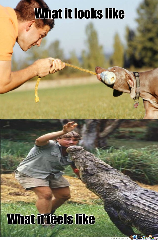10 Engaging Games to Keep Your Dog Active & Happy
