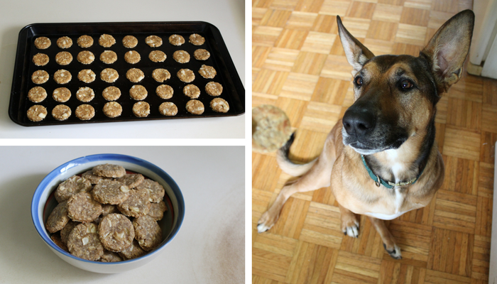 Healthy Apple & Peanut Butter Oat Treats – Quick & Easy Homemade Dog Snacks