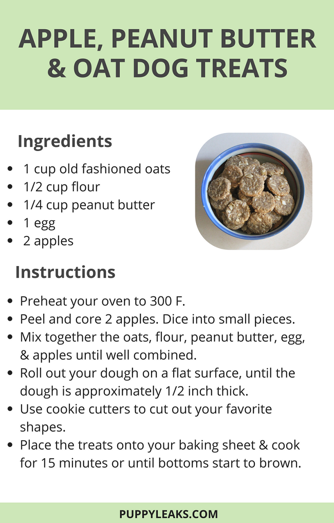 Healthy Apple & Peanut Butter Oat Treats – Quick & Easy Homemade Dog Snacks