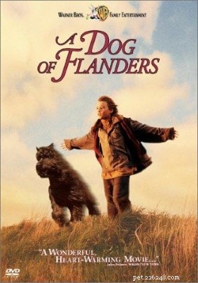 Top 13 Must‑Watch 1990s Dog Movies