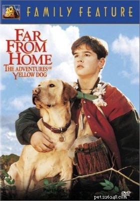Top 13 Must‑Watch 1990s Dog Movies
