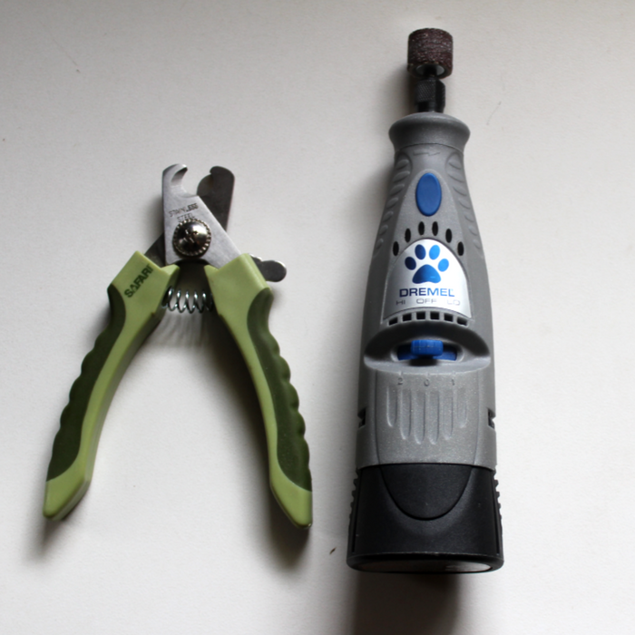 Why I Choose a Dremel Over Nail Clippers for Dog Nail Trimming
