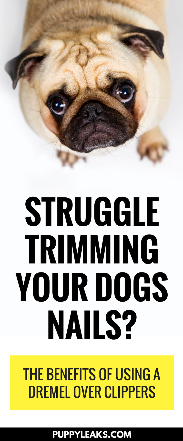 Why I Choose a Dremel Over Nail Clippers for Dog Nail Trimming