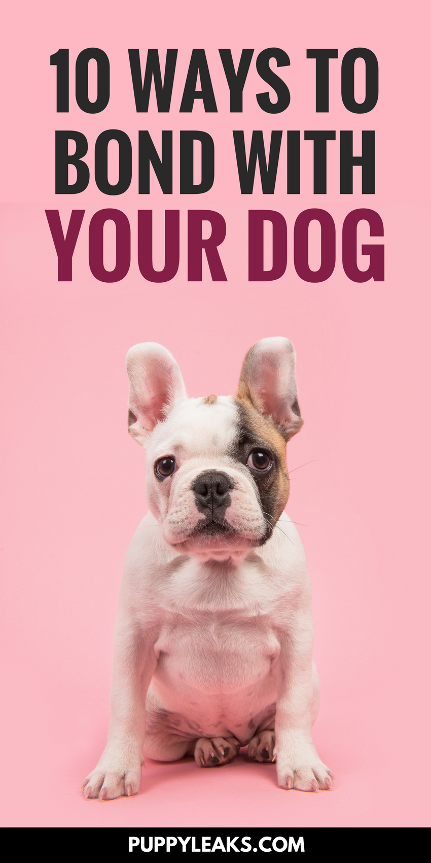 10 Proven Steps to Build a Strong Bond with Your New Dog