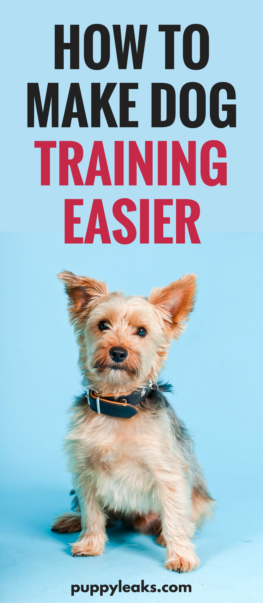 10 Proven Strategies to Simplify Dog Training