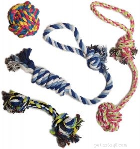 20 Last‑Standing Christmas Gifts Your Dog Will Love