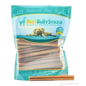 20 Last‑Standing Christmas Gifts Your Dog Will Love