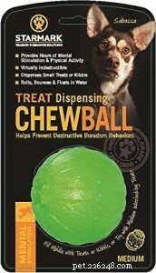 20 Last‑Standing Christmas Gifts Your Dog Will Love