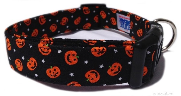 8 Simple, Safe Ways to Dress Your Dog for Halloween