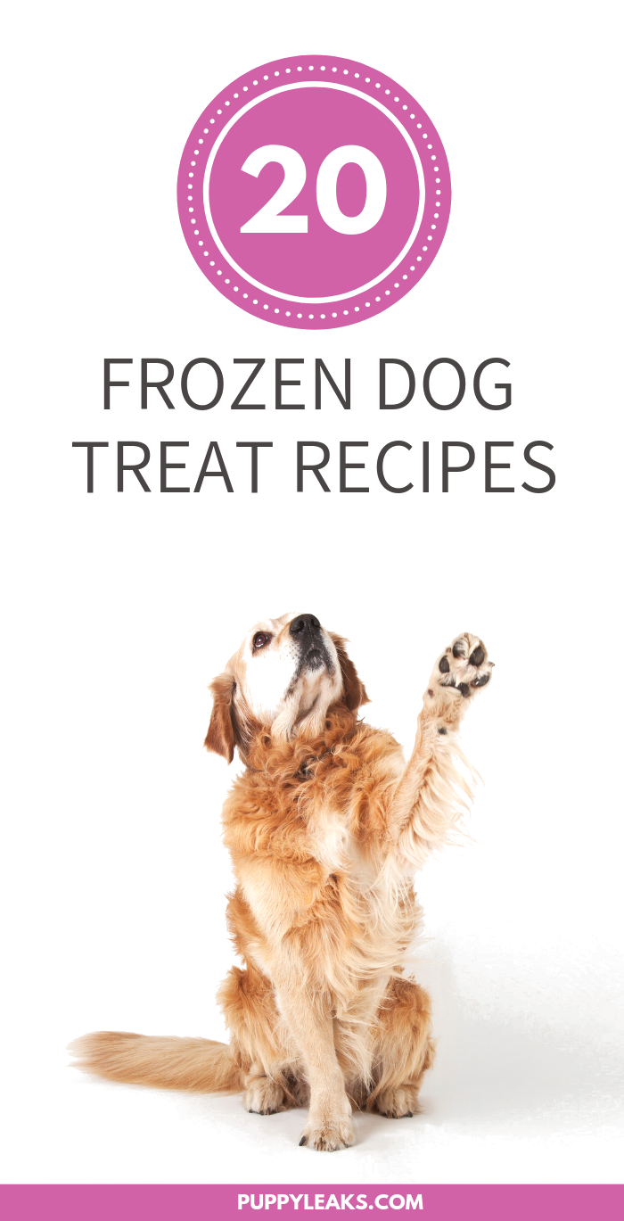 20 Easy & Healthy Frozen Dog Treats to Keep Your Pup Cool