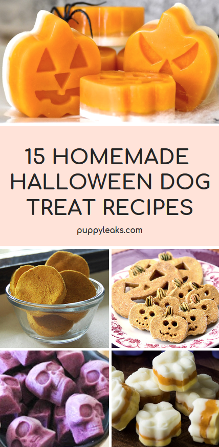 15 Delicious Halloween Dog Treat Recipes for a Spooky, Safe Celebration