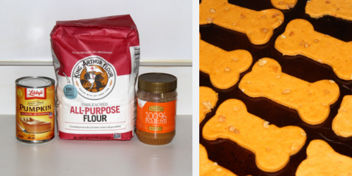 Homemade Pumpkin & Peanut Butter Dog Treats: Easy & Quick