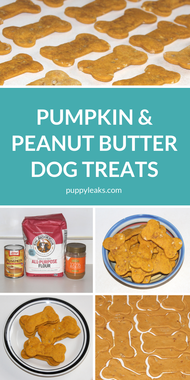 Homemade Pumpkin & Peanut Butter Dog Treats: Easy & Quick