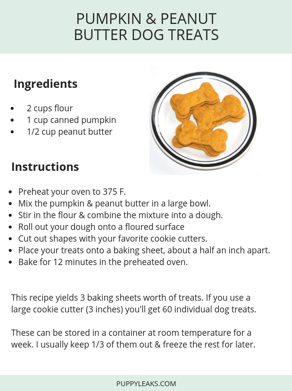 Homemade Pumpkin & Peanut Butter Dog Treats: Easy & Quick