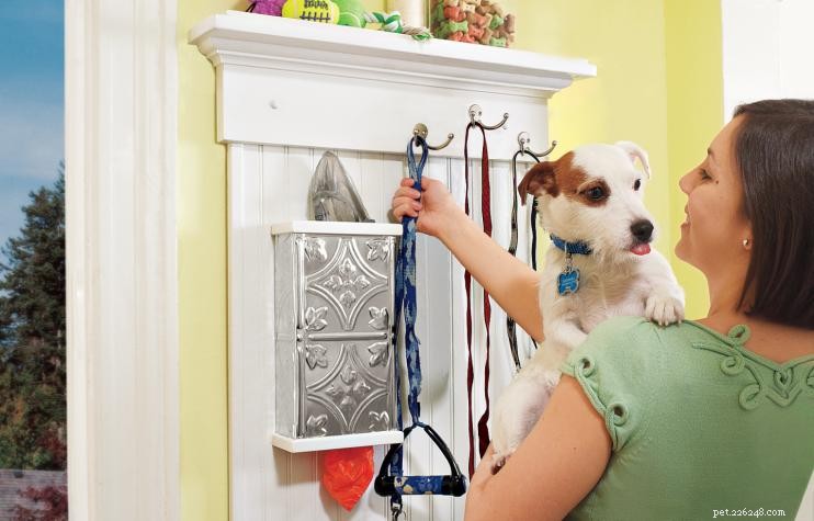 Professional Guide: Organize Your Dog’s Supplies for a Tidy Home