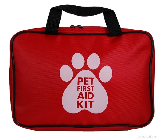 Professional Guide: Organize Your Dog’s Supplies for a Tidy Home
