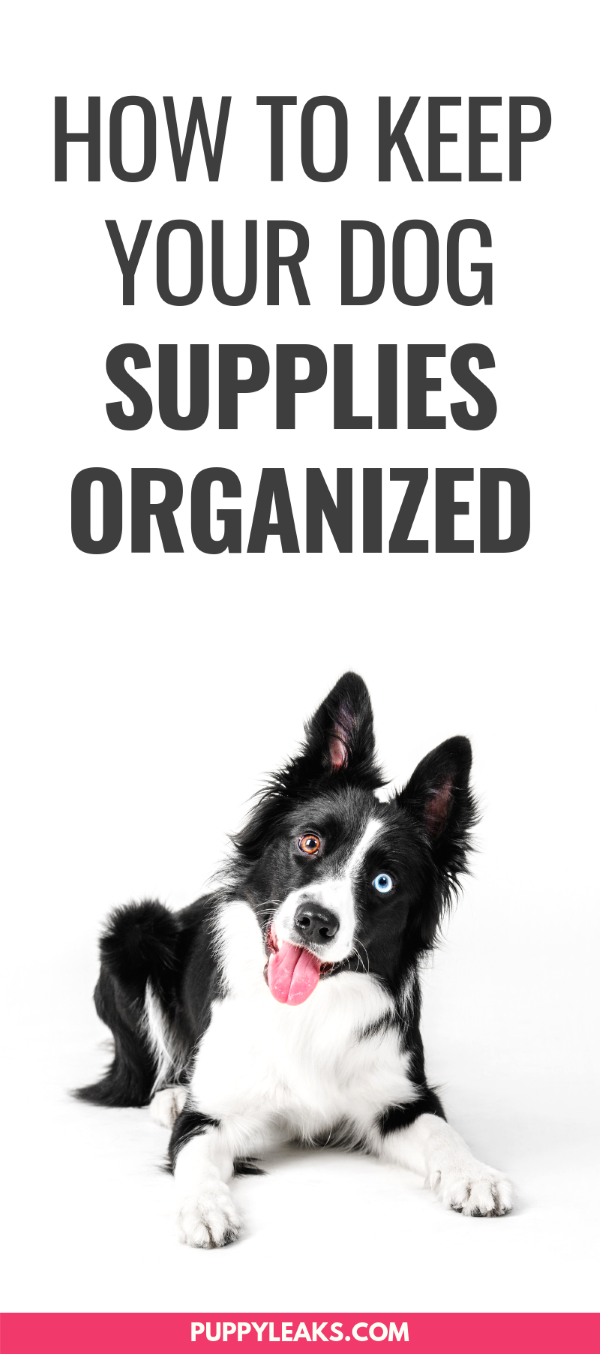 Professional Guide: Organize Your Dog’s Supplies for a Tidy Home