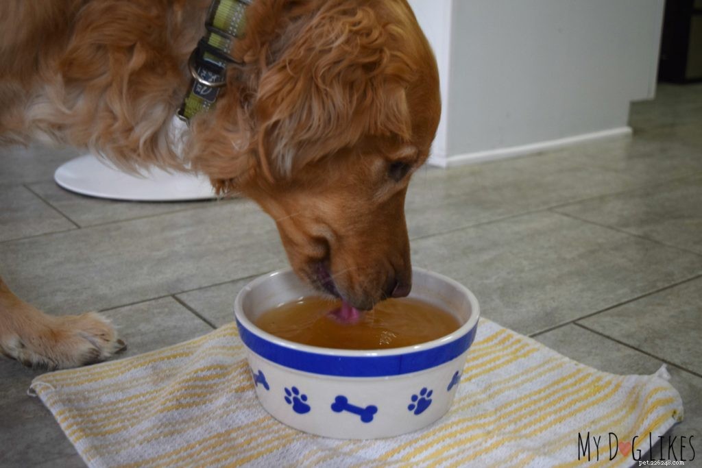 How to Manage Your Dog s Diarrhea: 3 Proven Home Remedies