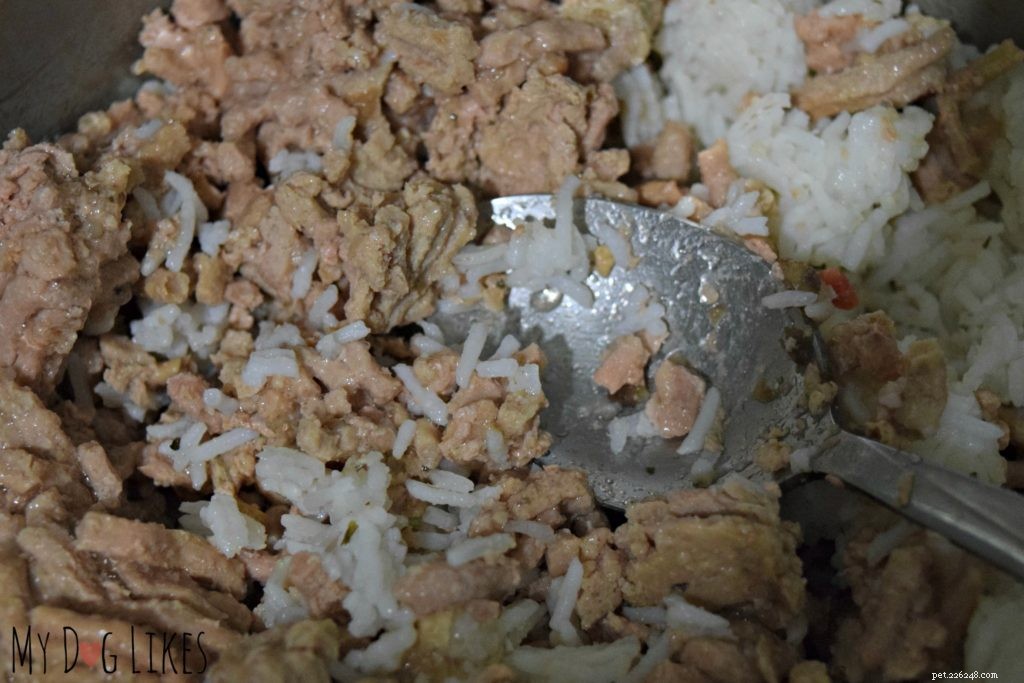 How to Manage Your Dog s Diarrhea: 3 Proven Home Remedies