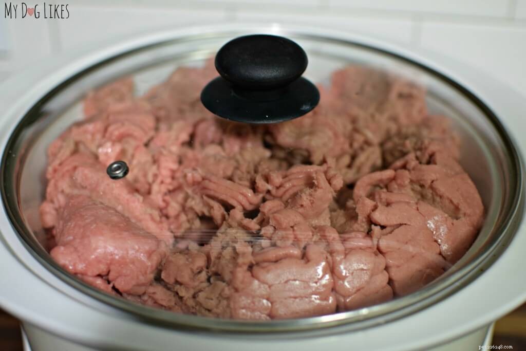 How to Manage Your Dog s Diarrhea: 3 Proven Home Remedies