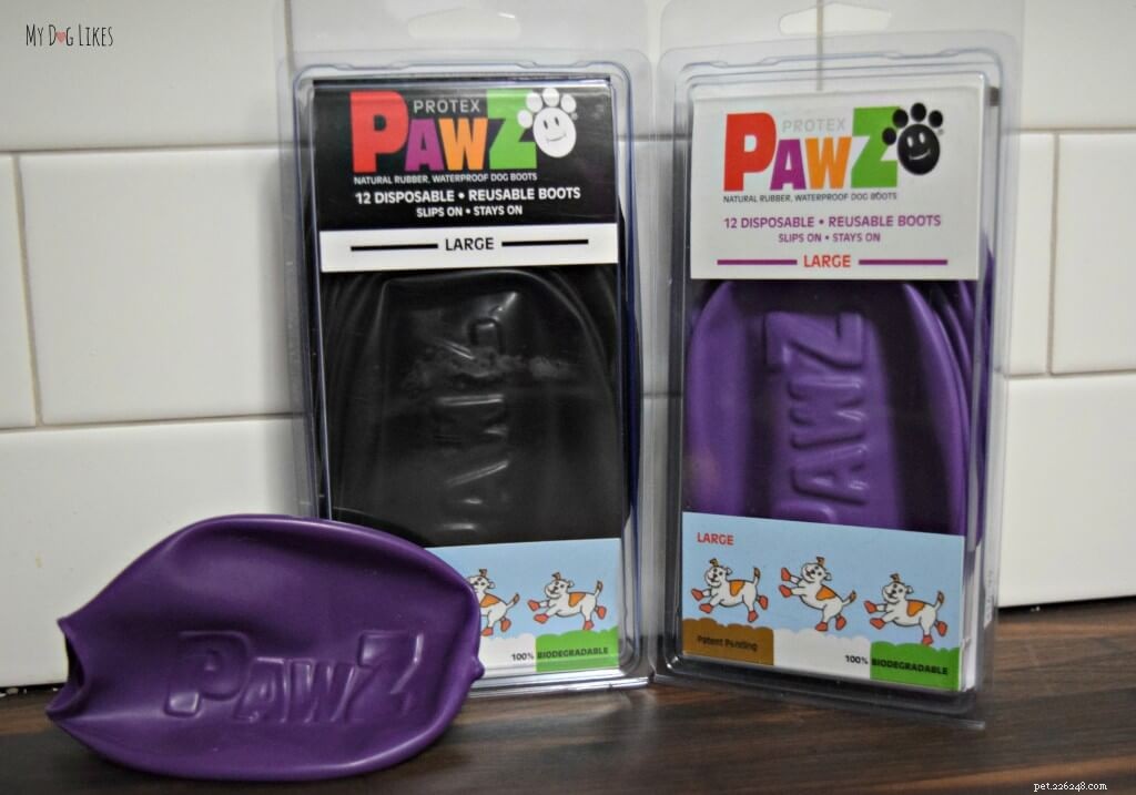 Protect Your Dog’s Paws from Extreme Heat: Essential Summer Care Tips
