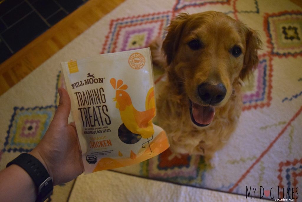 Teaching Dogs Healthy Boundaries: Setting Off‑Limits Areas for New Family Members