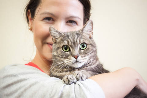 Bringing a Dog and Cat Together: Proven Strategies for Harmonious Coexistence