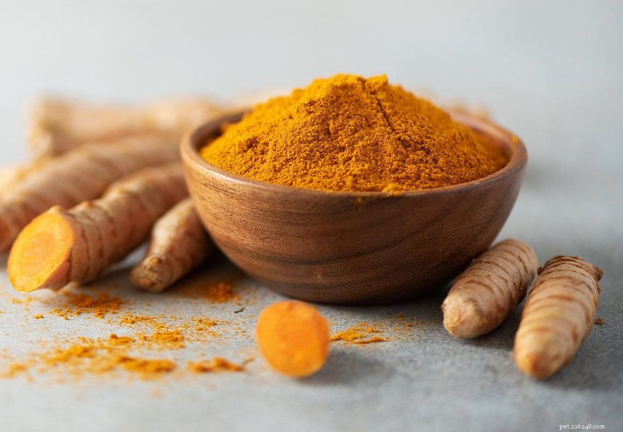 How Turmeric Boosts Your Dog’s Health: Proven Benefits & Easy Use