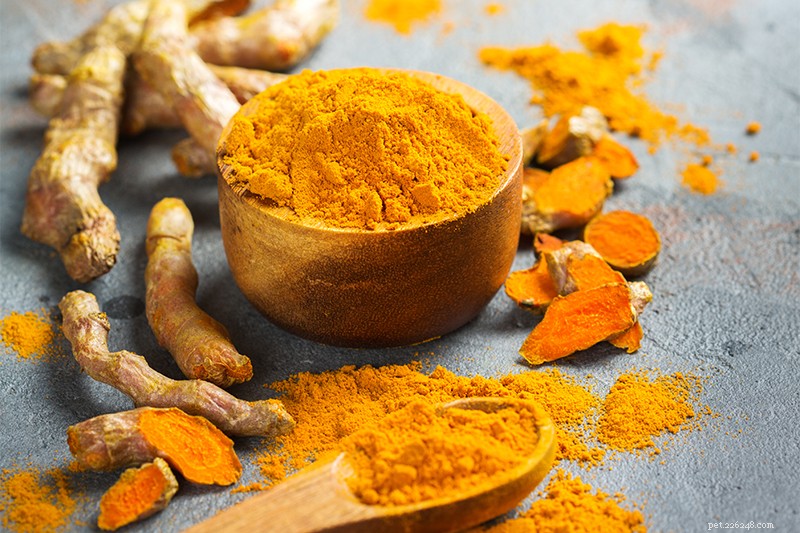 How Turmeric Boosts Your Dog’s Health: Proven Benefits & Easy Use