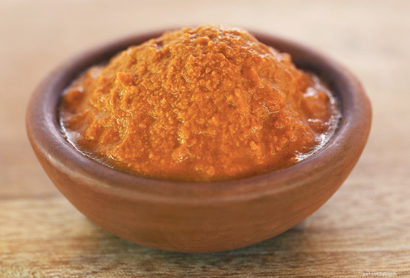 How Turmeric Boosts Your Dog’s Health: Proven Benefits & Easy Use