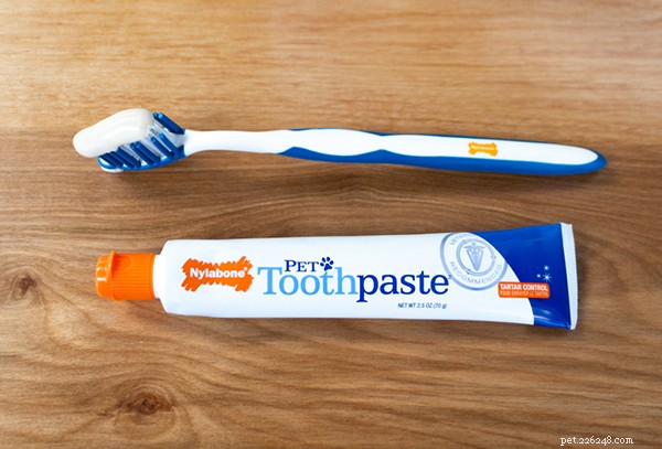 Ultimate 2024 Dog Dental Care Guide: Keep Your Pup’s Smile Healthy & Fresh