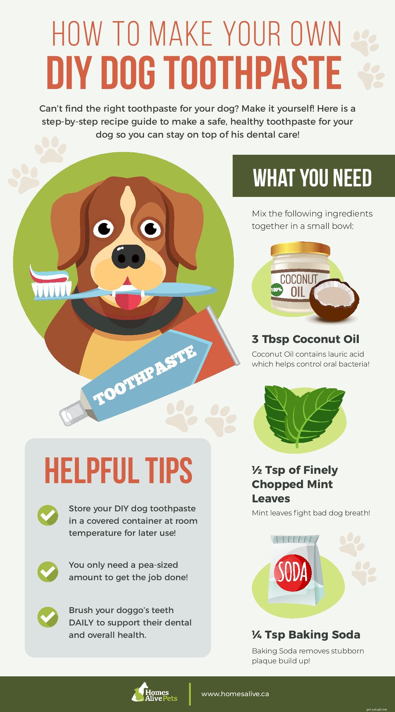 Ultimate 2024 Dog Dental Care Guide: Keep Your Pup’s Smile Healthy & Fresh
