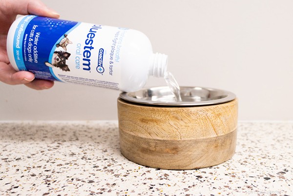 Ultimate 2024 Dog Dental Care Guide: Keep Your Pup’s Smile Healthy & Fresh