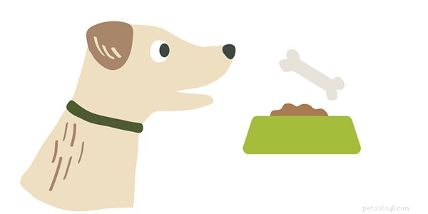 Ultimate 2024 Dog Dental Care Guide: Keep Your Pup’s Smile Healthy & Fresh