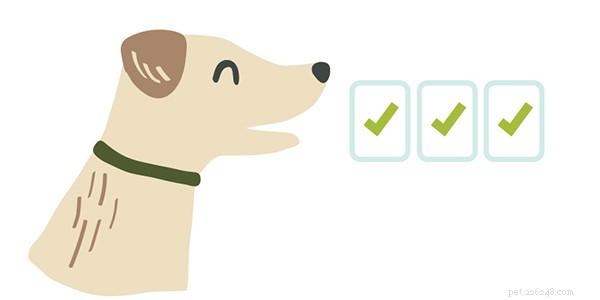 Ultimate 2024 Dog Dental Care Guide: Keep Your Pup’s Smile Healthy & Fresh
