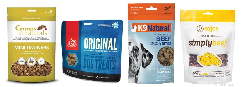 Caring for a Toothless Dog: Essential Tips for a Healthy, Happy Life
