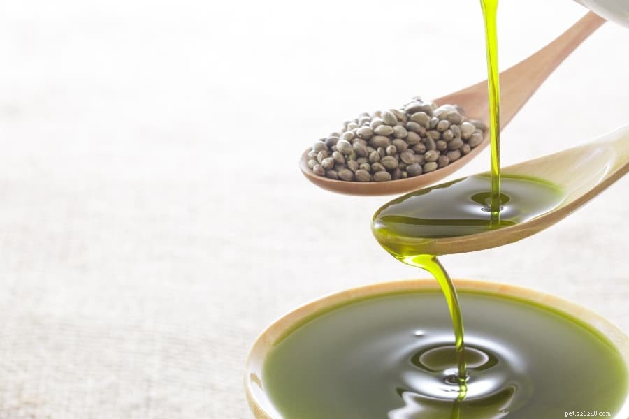 Hemp Oil for Dogs: A Natural Solution for Anxiety and Beyond