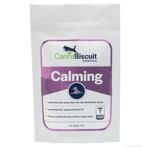 Hemp Oil for Dogs: A Natural Solution for Anxiety and Beyond