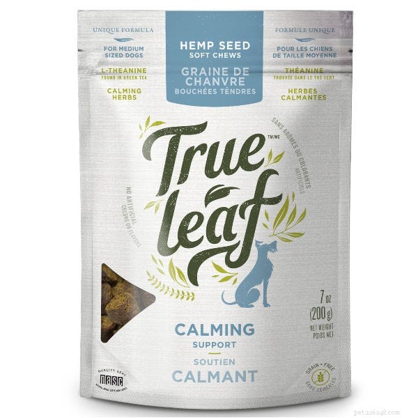 Hemp Oil for Dogs: A Natural Solution for Anxiety and Beyond