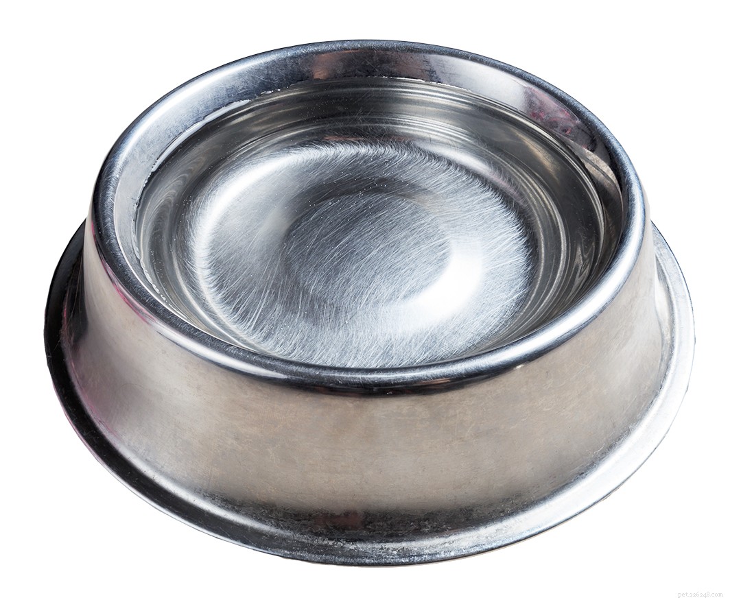 6 Proven Ways to Relieve Your Dog’s Dry Skin This Winter
