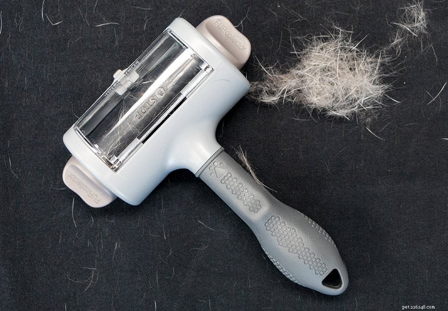 Best Pet Hair Removers to Take Back Your Home